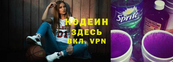 apvp Гатчина