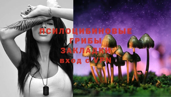 эйфоретик Нефтегорск