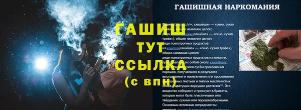 молекула духа Новодвинск