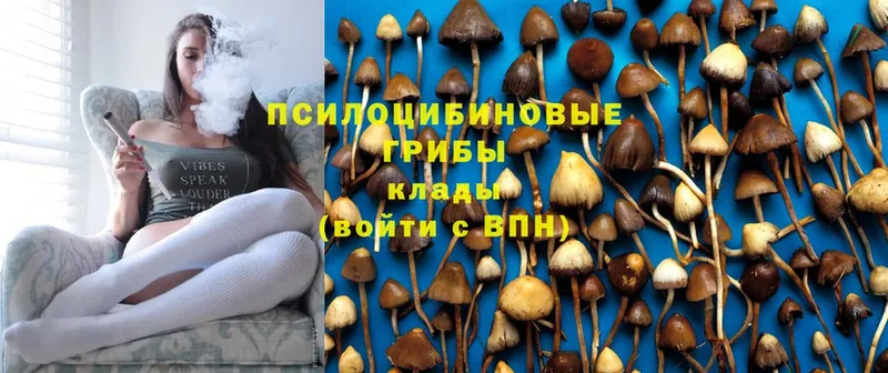 omg ССЫЛКА  Калининск  Псилоцибиновые грибы прущие грибы 